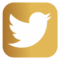 Icon-Twitter